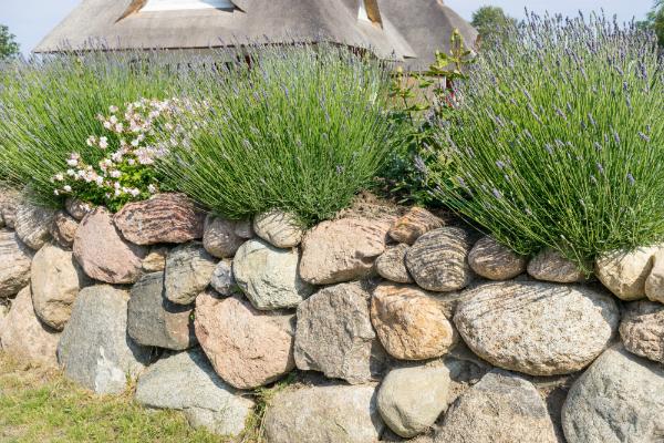 Natursteinmauer mit ungleichmäßigen Steinen