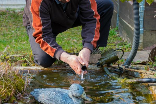 Gartenteich reinigen