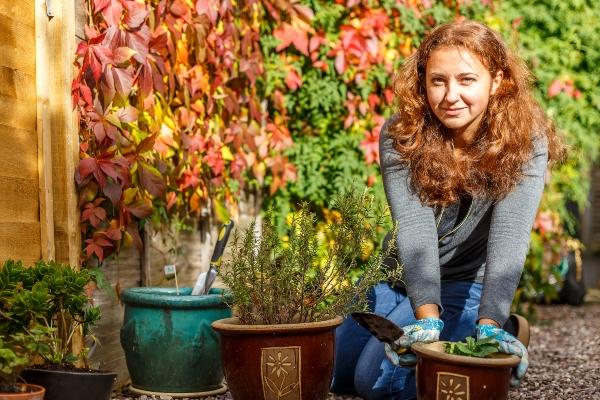 Vorbereitungen fuer den Garten im Winter