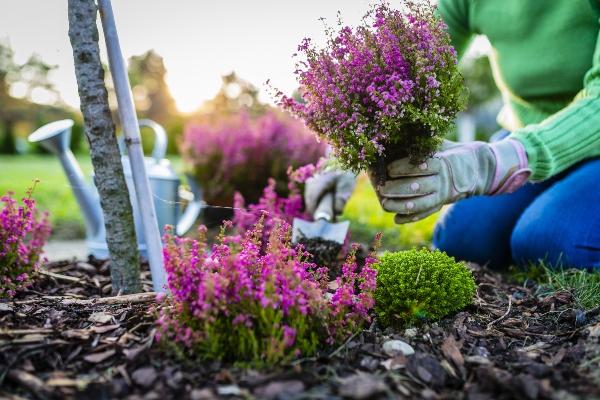 Ziele der Gartenarbeit im Herbst