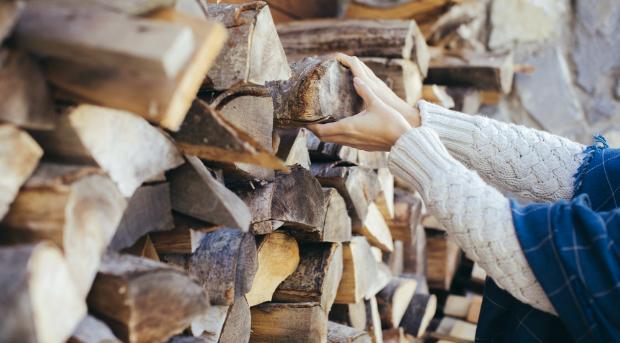 Holz ist aus auch finanzieller Sicht ein attraktiver Brennstoff Holz ist aus auch finanzieller Sicht ein attraktiver Brennstoff