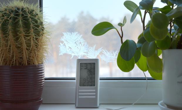 Frostwächter mit Thermostat vor einem Fesnter mit Frost