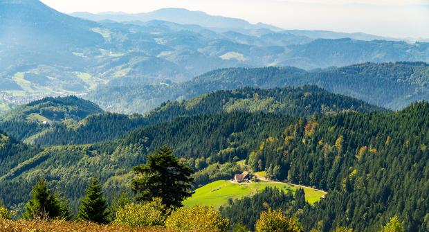 Panaoramabild aus dem Schwarzwald