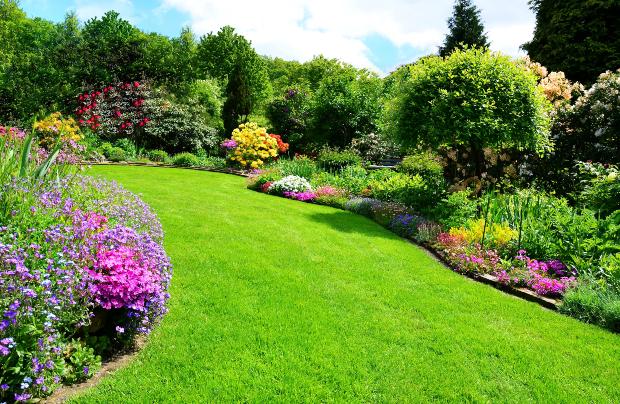 gesunder, schöner Rasen und Garten - Rasen vertikutieren im Frühjahr ist sinnvoll