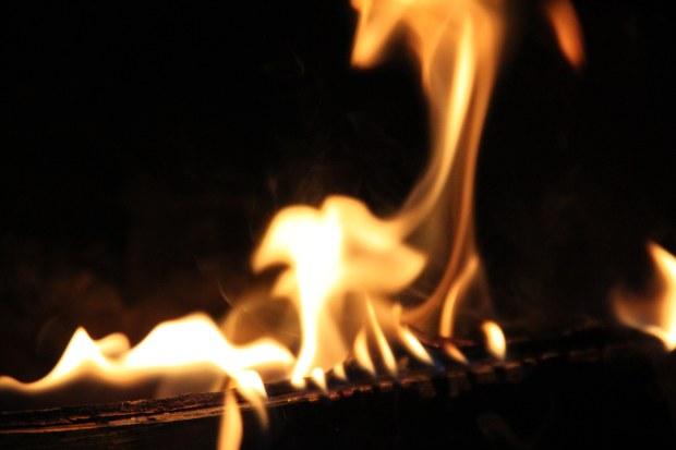 Die Flamme eines brennenden Scheitholzes Brennwert und Heizwert von Holz