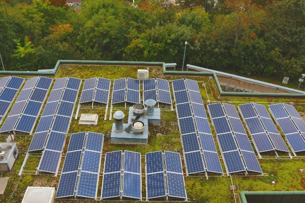Ein mit Gras bewachsenes Flachdach, auf dem eine Photovoltaik-Anlage installiert ist 