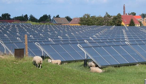 Freiflächen-Solarthermieanlage-des-Waermeverbundes-Marstal - Warmwasser mit einer Solaranlage erzeugen