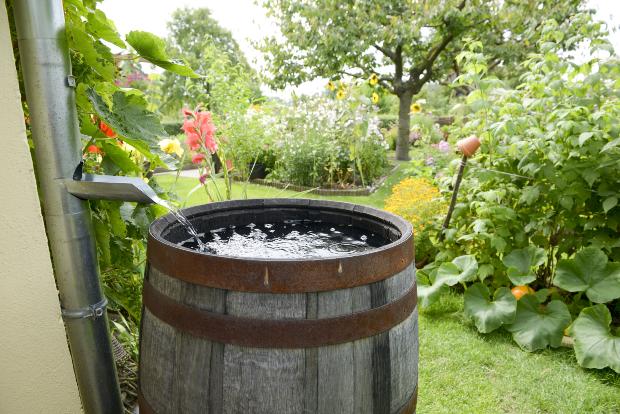 Regentonne mit einlaufendem Regenwasser