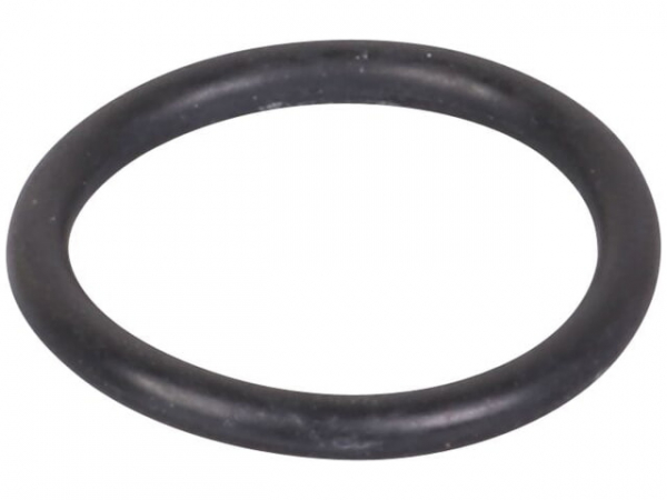 O-Ring 20,6 x 2,6 mm Wärmetauscher/Kondensatanschlussbogen