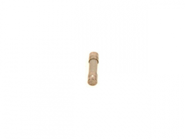 Buderus 7099466 Feinsicherung 1,0 AT/220V (Set A 10)