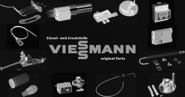 VIESSMANN 9588143 D-Sicherung 10A DO1 gL-gG