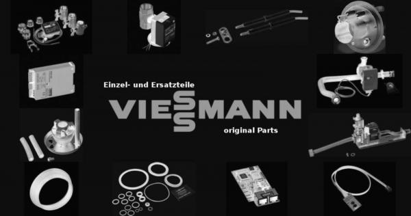 VIESSMANN 7404891 Abgasklappenmotor