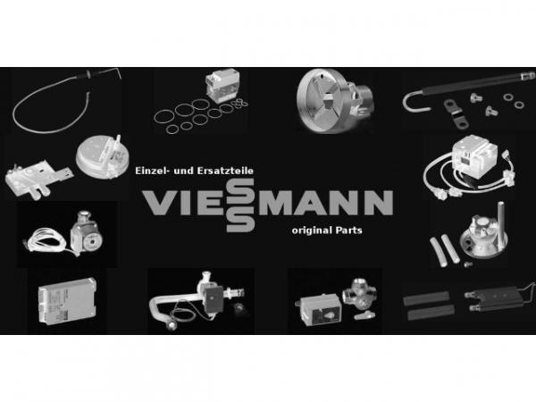 VIESSMANN G-Sicherung T 6,3A 250V L 5,0x20