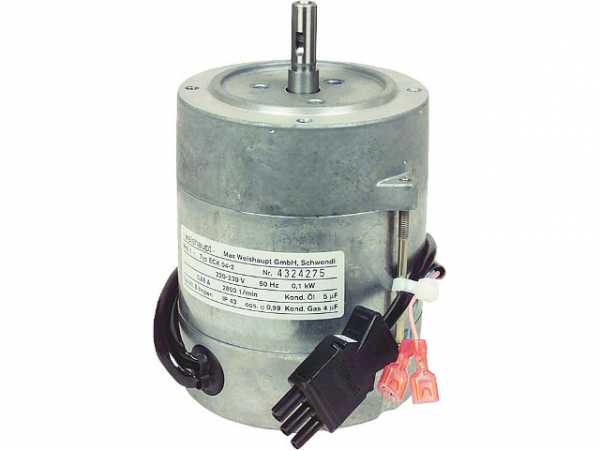 Motor 50 Hz ECK 04-2 241 200 0714/0