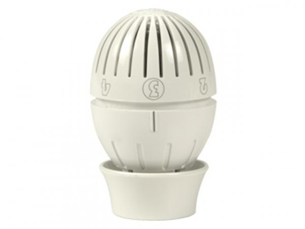 Giacomini R470X001 Thermostatkopf mit Flüssigkeitsfühler, Patentbefestigung Clip Clap