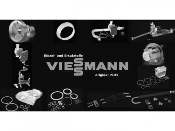 VIESSMANN 7308706 Innenrohr PF032