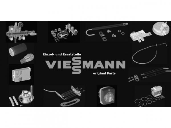 VIESSMANN Düse 0,50 Gph 45° ST Steinen