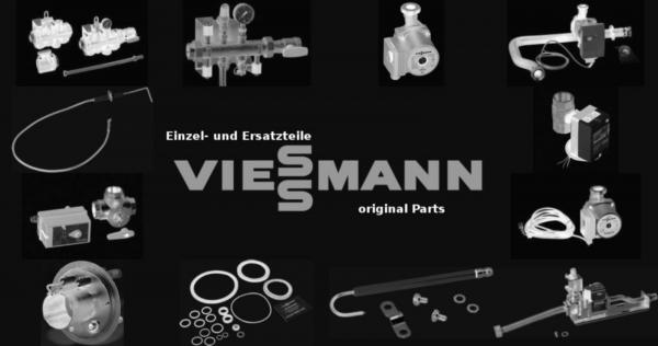 VIESSMANN 7820633 Reinigungstür