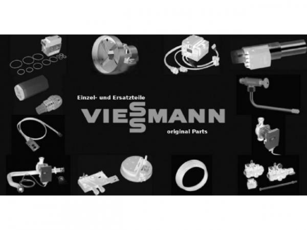 Viessmann Stundensatz Techniker Schulung vor Ort 7028393