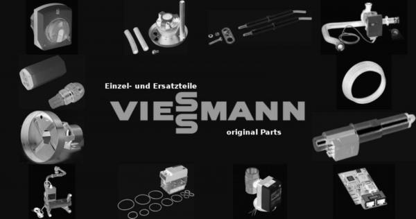 VIESSMANN 7813730 Abgasabzug