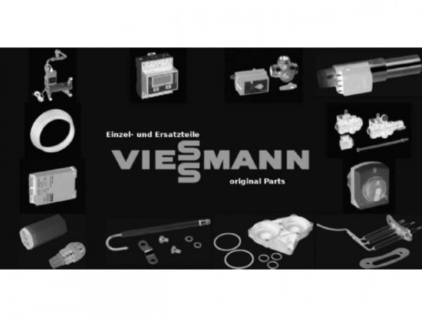 Viessmann Gussroststab II 7394040