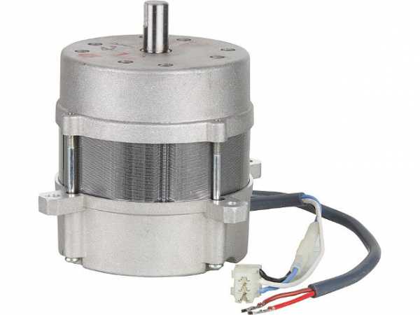 Riello Motor 3008938