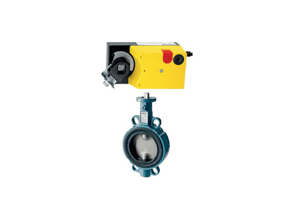 Sauter Ringdrosselklappe DEF 16x150 F200 mit ASM134F130 Motorantrieb DN150 PN16 für Heizungs- und Lüftungsanlagen