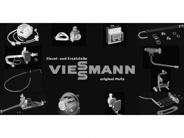 VIESSMANN 7830173 Edelstahlrohrbürsten f. D=51
