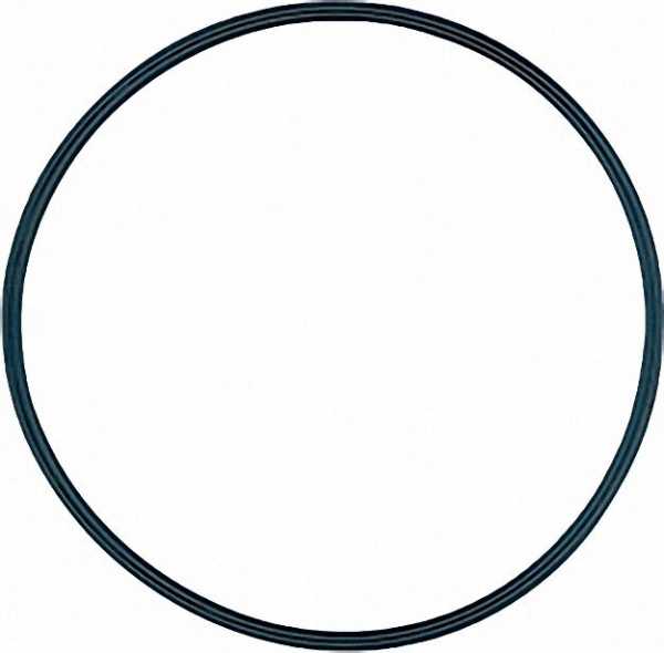 O-Ring (Deckeldicht. ) 3007162 EINZELN