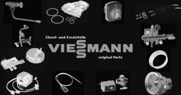 VIESSMANN 7838737 Aschetür