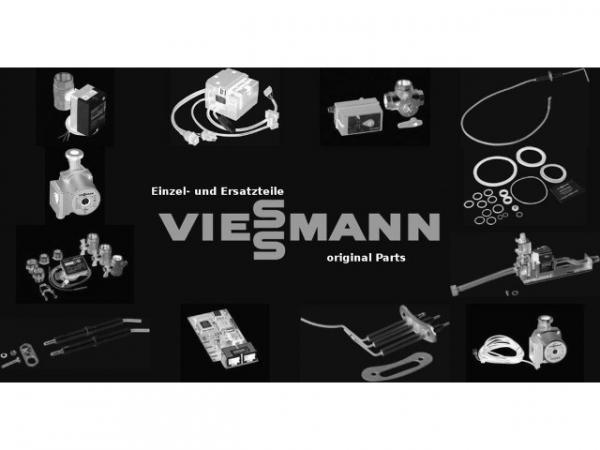 VIESSMANN Federbürste D 50 mm/Gewinde M10