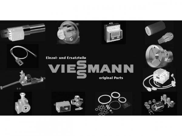 VIESSMANN 9501239 Hutmutter M 8