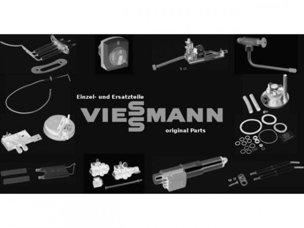 VIESSMANN 7054419 Reinigungstür links