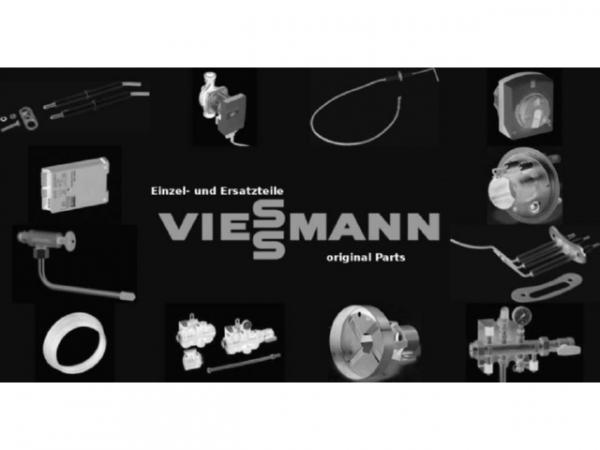 Viessmann Strömungsschalter Typ 325 M 800 7856787