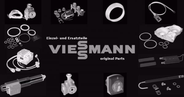 VIESSMANN 7817658 Motorvollschutz