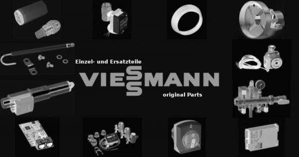 VIESSMANN 7832988 Aschetür