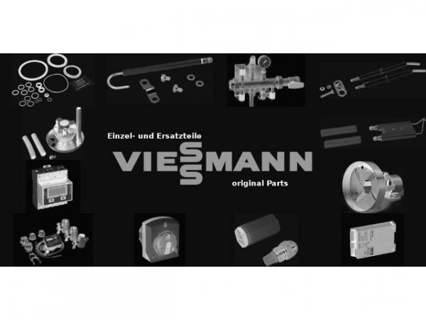 VIESSMANN 7830171 Edelstahlrohrbürsten f. D=70