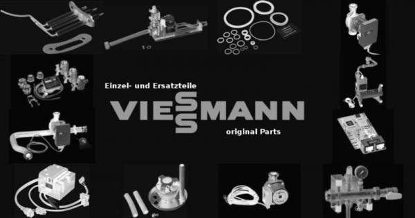 VIESSMANN 7324581 Tür 1