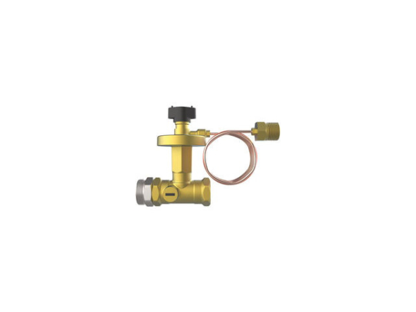Buderus Strawa Differenzdruckregler Ballorex DN20 50-250mbar für Heiz- und Kühlsysteme mit Reduziernippel