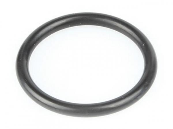 HYDROTHERM O-Ring 21,89x2,62 mm 153665 OEM