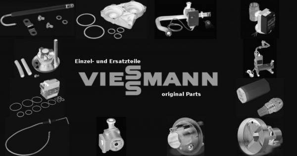 VIESSMANN 7839770 Strömungsschalter 920 l/h
