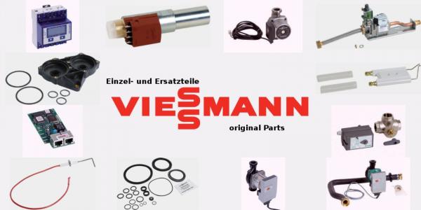 VIESSMANN 9564696 Vitoset Längenelement 250, einwandig, Systemgröße 100mm