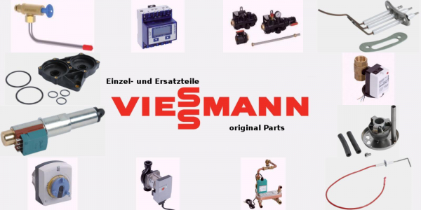 VIESSMANN 9565073 Vitoset Winkel 30 Grad, doppelwandig, Systemgröße 100mm