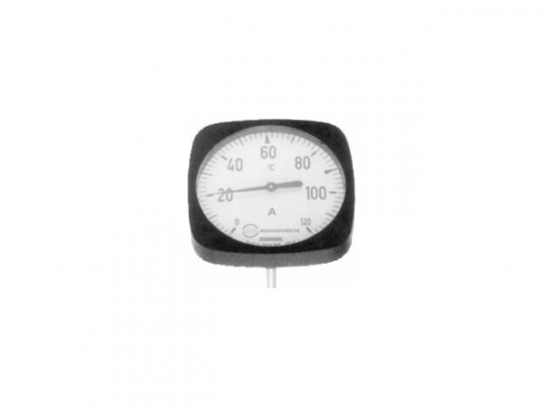 Ebro Thermometer 0-120 Grad C, DN50-65