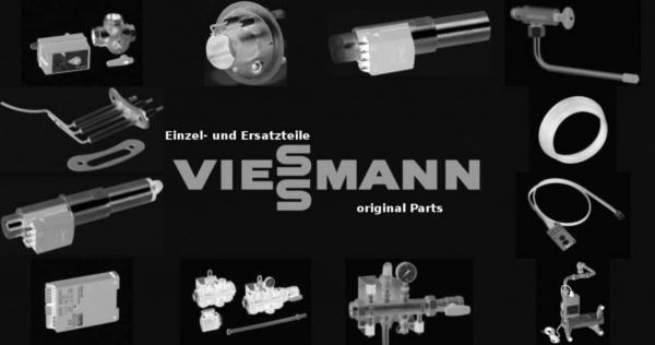 VIESSMANN 7404394 Beipack G-Sicherungen 1,6 A