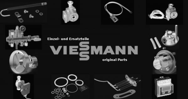 VIESSMANN 5204788 Vierteldrehverschluss RAL2001