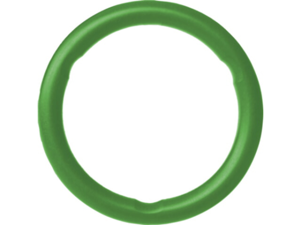 Buderus O-Ring FPM LBP 42 grün, für Edelstahl und C-Stahl Installationssysteme, V-Kontur, 7738333438