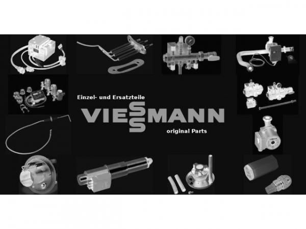 VIESSMANN WD-Matte oben
