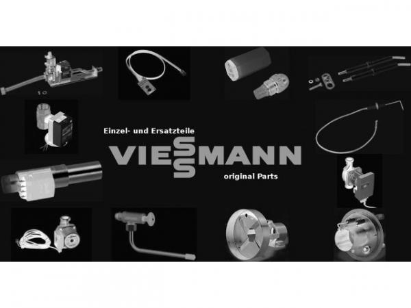 VIESSMANN 9034007 Mannlochverschluss OAB51 300x400