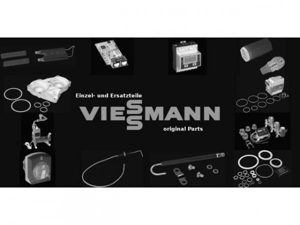 VIESSMANN 7863030 Sauglanze SGL für 25kg-Gebinde